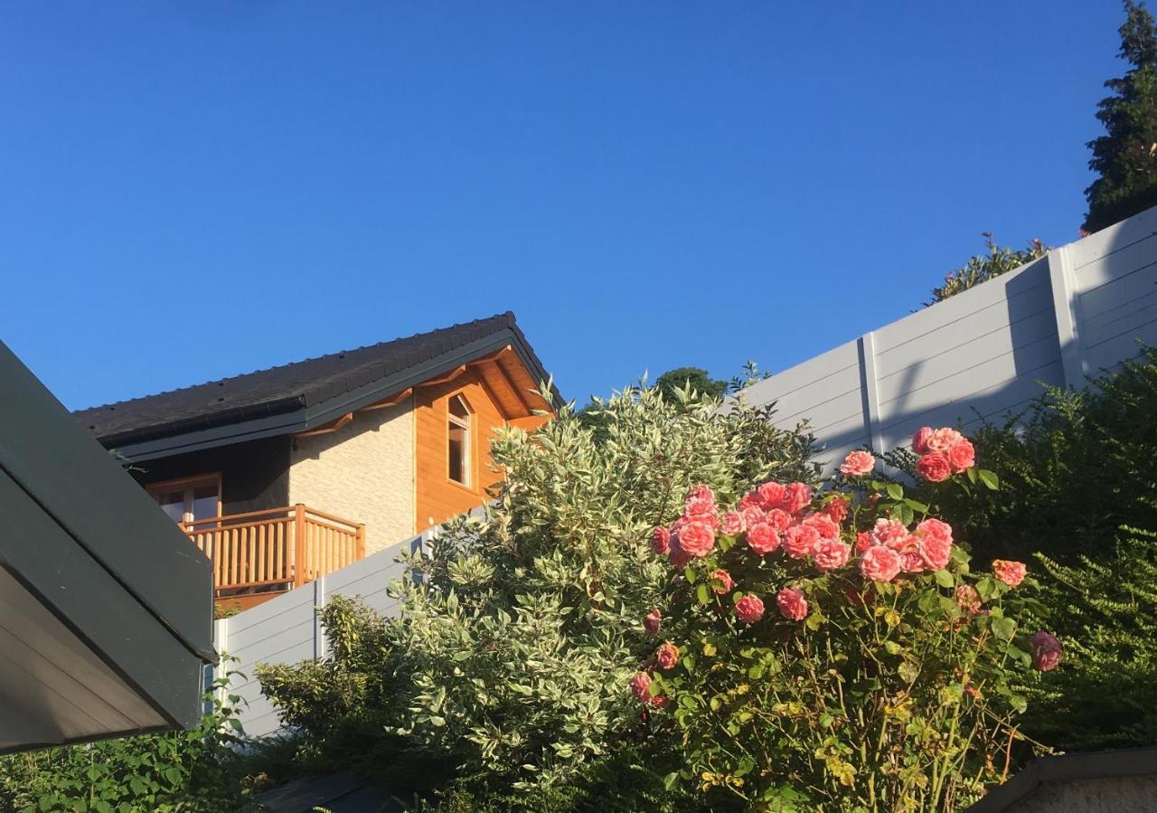 Chalet A La Campagne Coise-Saint-Jean-Pied-Gauthier Exterior photo
